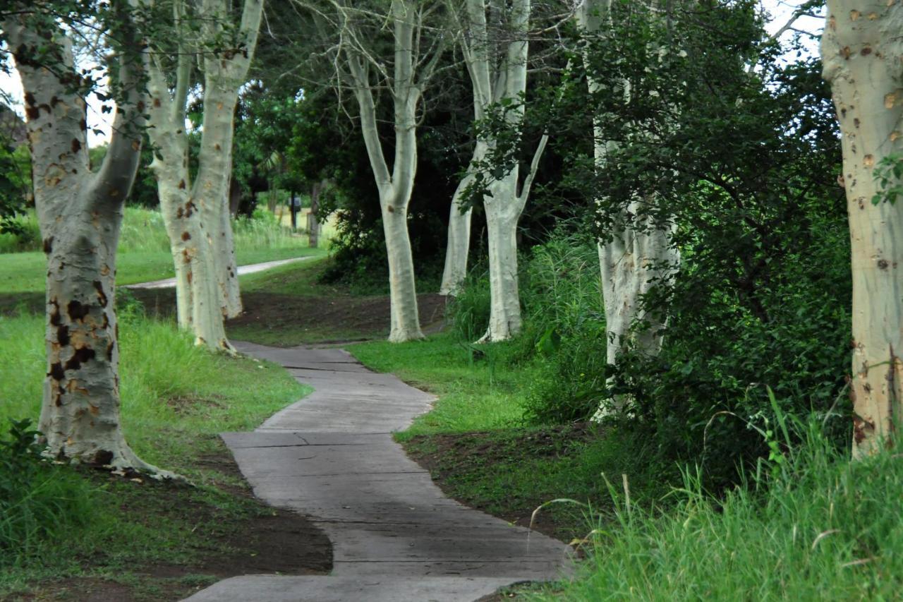 Kruger Park Lodge Unit No. 608A Hazyview Bagian luar foto